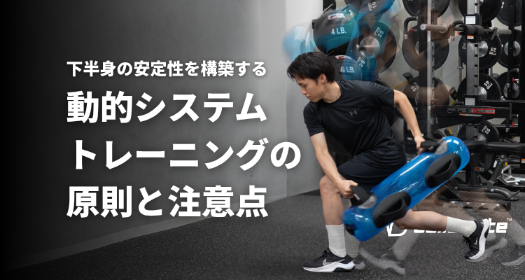 下半身の安定性を構築する -動的システムトレーニングの原則と注意点-